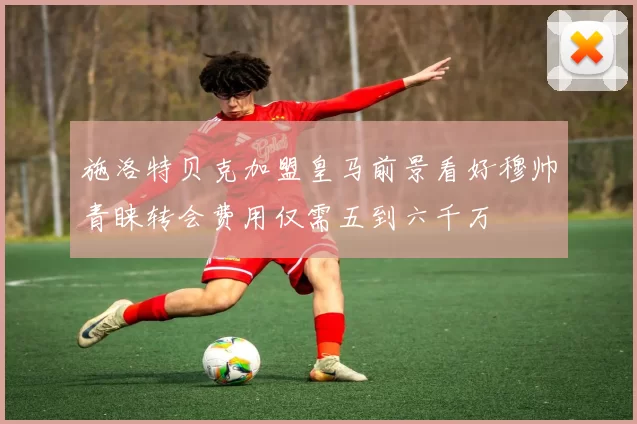 施洛特贝克加盟皇马前景看好穆帅青睐转会费用仅需五到六千万