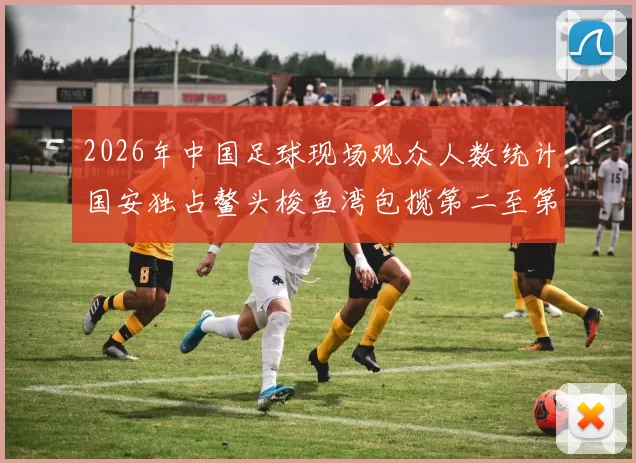 2026年中国足球现场观众人数统计国安独占鳌头梭鱼湾包揽第二至第七位