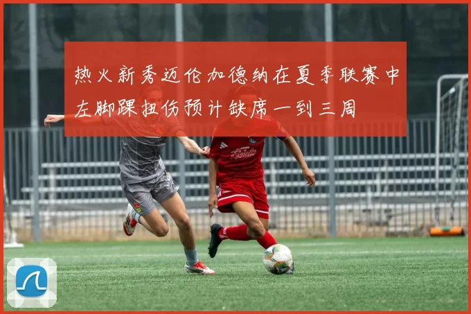 热火新秀迈伦加德纳在夏季联赛中左脚踝扭伤预计缺席一到三周