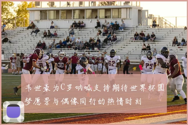 韦世豪为C罗呐喊支持期待世界杯圆梦愿景与偶像同行的热情时刻